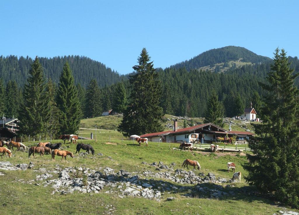 Gaestehaeuser Schwemmbauer Reit im Winkl Exteriör bild